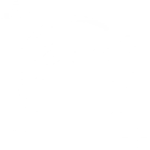 white heart icon